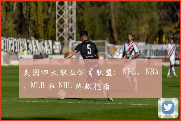 美国四大职业体育联盟：NFL、NBA、MLB 和 NHL 终极指南